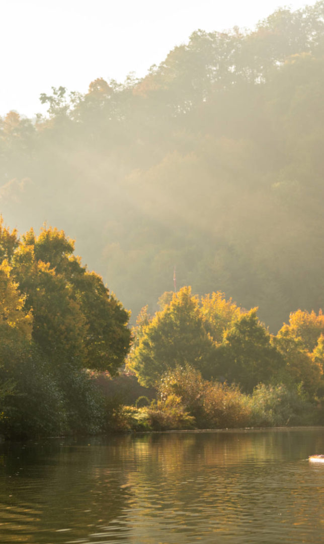 Stand up-Paddling auf der Lahn 3