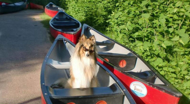 Stand up-Paddling auf der Lahn