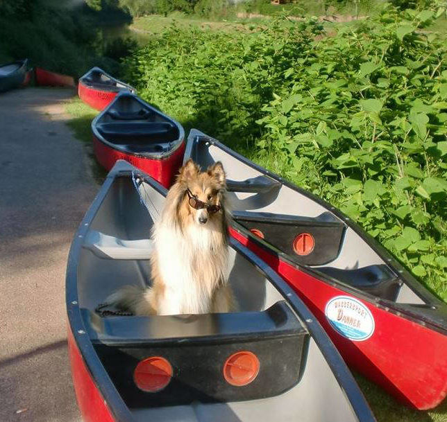 Stand up-Paddling auf der Lahn